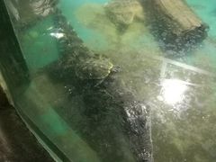 -重庆欢乐海底世界
