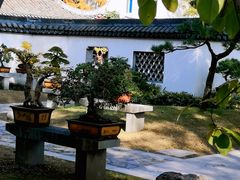 -上海醉白池公园