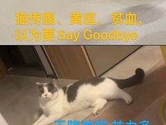 -泰洋动物医院·神经专科·磁共振·CT(天河公园总院)