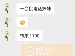 -品北铁锅炖  东北特色菜(北极大街店)