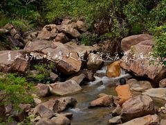 -广州白江湖森林公园