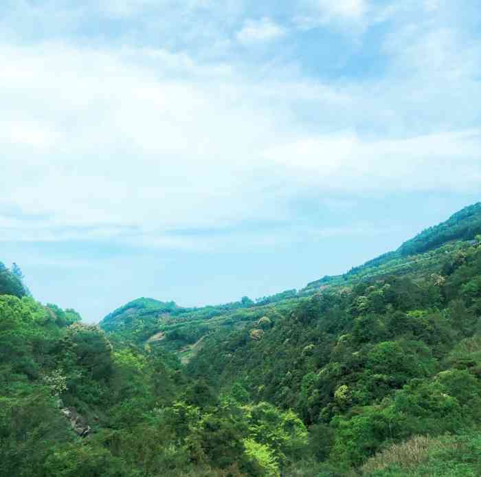 太姥山"地址位于秦屿镇太姥山风景区,最近来福建旅-大众点评移动版