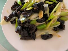 -红花尔基樟子松国家森林公园