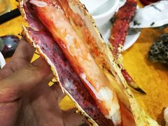 -蚝专家(北滘店)