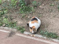 -北京凤凰岭