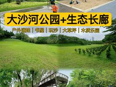 -大沙河公园