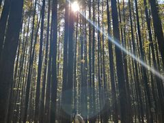 -山王坪喀斯特国家生态公园