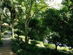 -花柏山公园