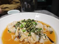 -1937青岛老味道·海肠捞饭·青岛菜(大鲍岛栈桥店)