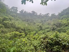 -海口火山口国家地质公园