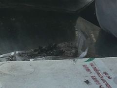-大个子蒸饭