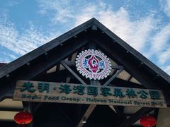 -上海海湾国家森林公园