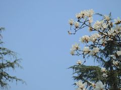 -塔子山公园
