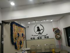 -有喵·猫咖·狗咖·30几只猫10只小狗(岗厦店)