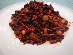 -陶然居·重庆菜(两江会馆店)