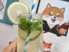 -柴犬高等学院·狗咖·柴犬售卖·宠物训练