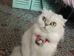 -广州迷途主题旅馆(海珠广场店)