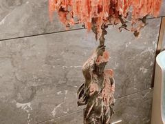 -额尔敦牛厨师铜板烧