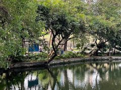 -晓港公园