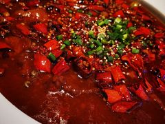 -桂满陇天书(南京德基旗舰店)