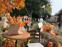 -HERRE·FARM 赫尔露营农场·团建聚会包场