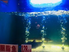 -楚鱼王·河鲜·湖北菜(华农店)