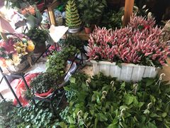 -沪花拾者(好再来花卉鲜花店)