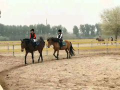 -月河湾马术俱乐部(朝阳店)