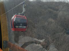 -栾川竹海野生动物园