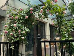 -龙大花卉苗木市场