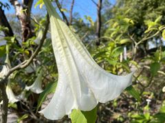 -广东中医药博物馆