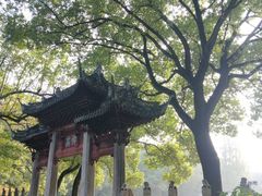 -汇龙潭
