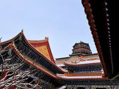 -颐和园