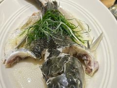 -稻香酒家·35年老字号(侨光店)
