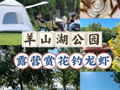 -羊山湖公园