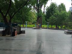 -莲花池公园