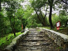 -阳台山自然风景区