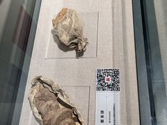 -巴音郭楞蒙古自治州博物馆