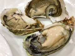 -金海湾海鲜排档(朱家尖店)