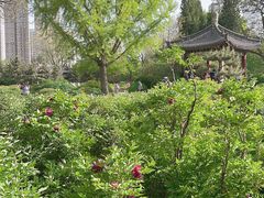 -迎泽公园