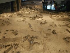 -自贡恐龙博物馆