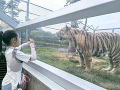 -西霞口神雕山野生动物世界