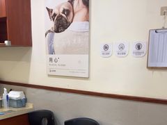 -艾贝尔宠物医院·24H转诊中心·肿瘤猫专科(江宁双龙店)