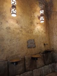 -翱翔飞越地平线