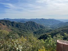 -大岭沟猕猴桃谷风景区
