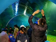 -石林冰雪海洋世界