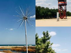 -山东八大碗山东老字号