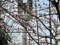 -华谊兄弟（长沙）电影小镇