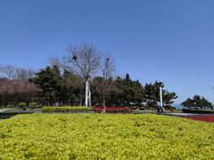 -日照灯塔风景区