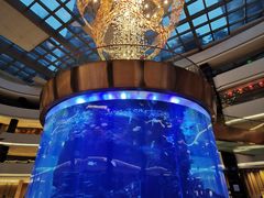 -OPEN開全日自助餐厅·牛肉火锅·海鲜(佛山希尔顿酒店)